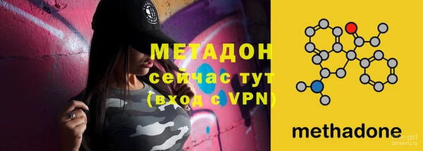 стаф Вязьма