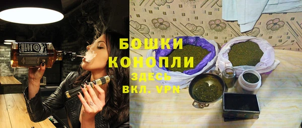 стаф Вязьма
