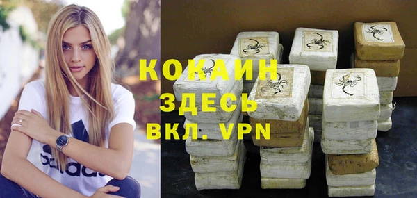 стаф Вязьма