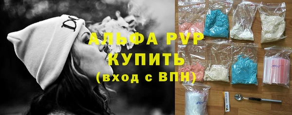 стаф Вязьма